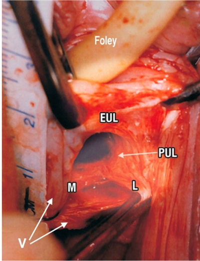 20260327254543.png 图片3.png