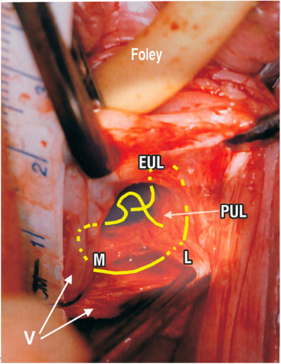 20260327641605.png 图片4.png